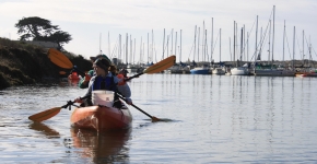 Volunteers kayaking nearshore to clean up debris.