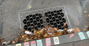 A street storm drain with a wire cover.