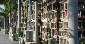 Lobster trap-yard.