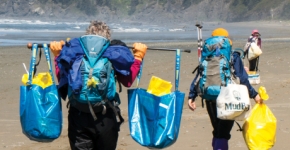People walking up the beach with bags of debris collected from the shore.