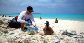 A person removing debris near a large chick on the beach.