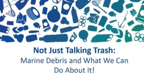 Silhouettes of marine debris and the title "Not Just Talking Trash: Marine Debris and What We Can Do About It!".