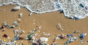 Marine debris littering a beach at the surf line.