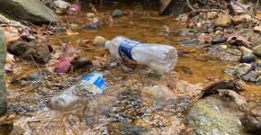 Two plastic bottles float in shallow water.