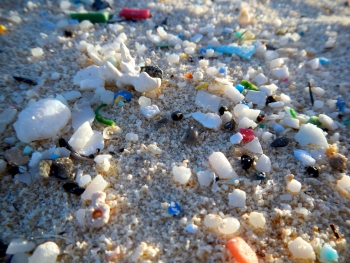 Fragments of plastic on a beach.