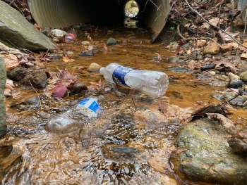 Water bottles in a creek bed.
