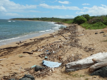 Plastics and other marine debris mixed with natural debris on a shoreline (Photo Credit: Pulama Lanai).