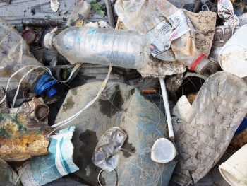 Plastic bottles, fishing line, cigarette butts, and other assorted marine debris.