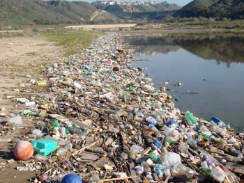 Pastic debris and trash mixed in with natural debris along a river shoreline.