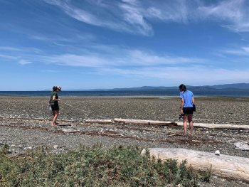 Volunteers survey for marine debris on a beach.