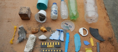A collection of sorted beach debris.