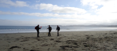 Three people surveying a beach for marine debris.