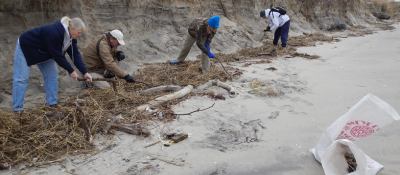 Volunteers inspect a beach for marine debris. 
