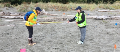Two people laying a transect.