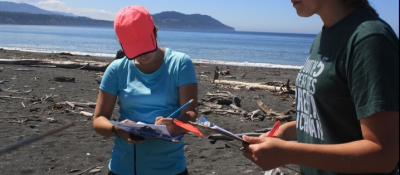 Two people recording on datasheets on a beach.