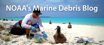 Man collecting debris on sandy beach with albatross nearby.