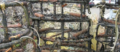 Crab pots retrieved near Newport.