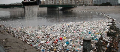 Debris in Ballona Creek.