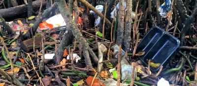 Six pack rings, food containers, wrappers, and more littered in the roots of a mangrove shoreline.