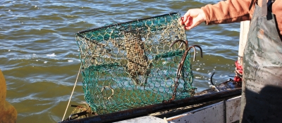 A derelict trap is pulled over the side of a boat using a grappling hook.