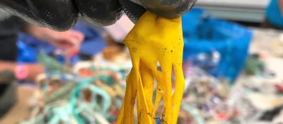 A gloved hand holds up a shredded latex balloon.