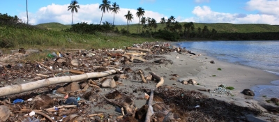Marine debris mixed with natural debris on a beach shore.