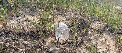 A plastic food container surrounded by natural debris.