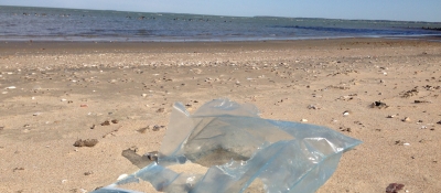 Plastic snack bag on a sandy shoreline.