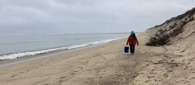 A volunteer with a bucket removing debris along a beach.