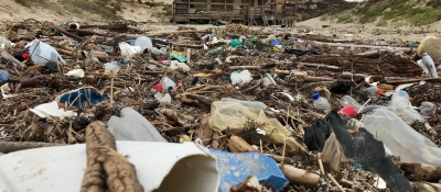 A field covered in marine debris.