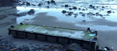 Japan tsunami debris: Misawa dock on Washington coast.