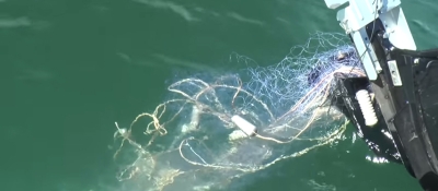 Gill Nets in Lake Superior. Credit: GLIFWC warden Dan North. 