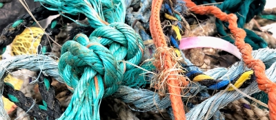 Fishing rope debris collected during a beach cleanup.