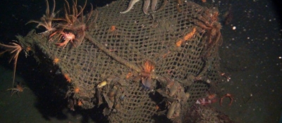 Spot Prawn trap at Point Lobos.