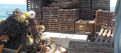 Derelict traps after Hurricane Irma.