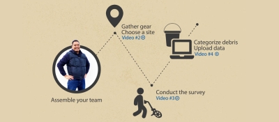 Process map for surveys.