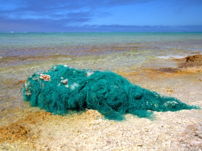 Broken Coral in a Derelict Fishing Net.