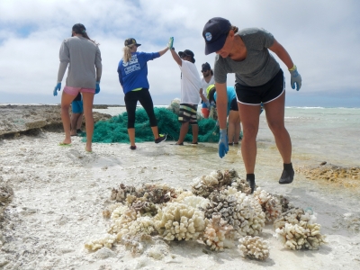 Coral Removed from a Derelict Net.