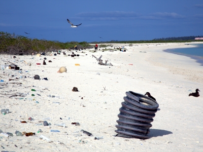 Debris along the eastern shoreline of Eastern Island. This photo is a before shot from the 2016 marine debris removal mission. (Photo Credit: NOAA PIFSC Coral Reef Ecosystem Program).