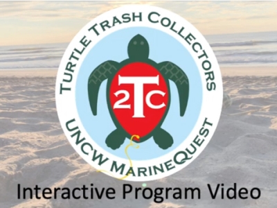 Turtle Trash Collectors Interactive Program Video.