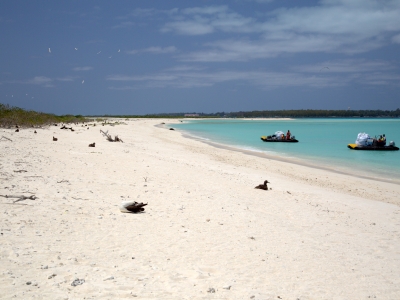 A clean beach remains after a removal team removes debris from the eastern shoreline of Eastern Island. This photo is an after shot from the 2016 marine debris removal mission. (Photo Credit: NOAA PIFSC Coral Reef Ecosystem Program) 