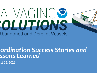 Introduction slide of the Salvaging Solutions webinar titled Successes and Lessons Learned.