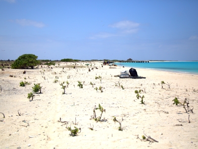After photo of the western shore of Eastern Island. The debris was bagged up and piled up for pick-up.