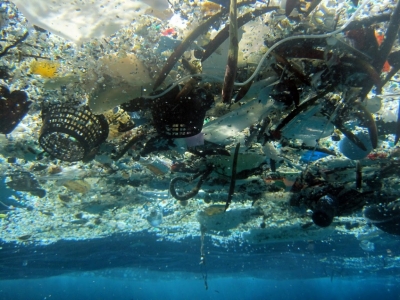 Marine debris floating on the surface of the water.
