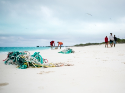 The Marine Debris team removing derelict fishing nets from North Beach, Sand Island, Midway Atoll.