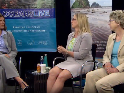Three people seated on a live panel with banners in the background that say "OceansLIVE".