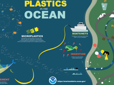 An infographic displaying the types and sources of plastic found in the ocean.