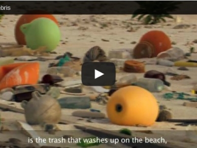 Marine debris on the beach