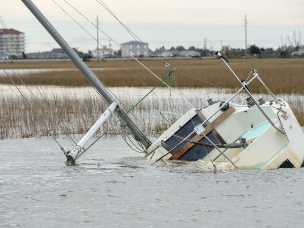 A derelict sailboat submerged in a marsh with buildings in the background.