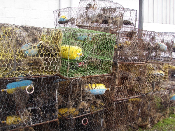 A stack of derelict crab traps.